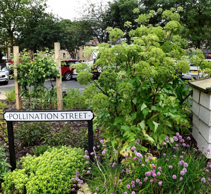 Pollination Street.jpg