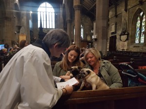 animal-blessing-service