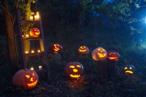Pumpkins-in-the-Wood-at-Halifax-Spooktacular