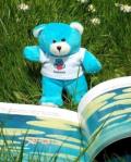 Bookstart_Bear_tiny_png